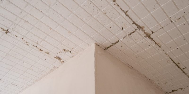 _DSC0039