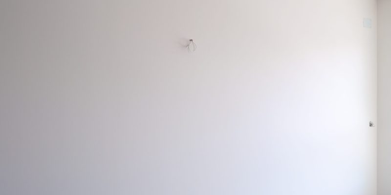 _DSC0049