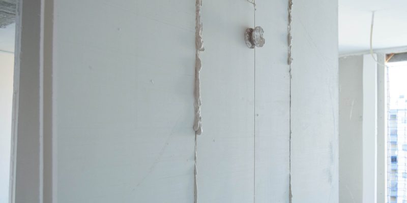 _DSC0050